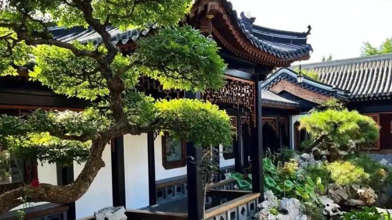 足球转会窗口是什么?规则、查询方法与交易流程解析