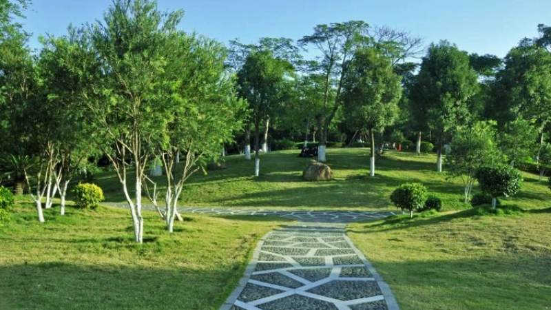 悟空体育直播入口服务配图