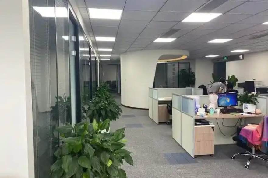 球帝直播即时比分与赛程提醒功能展示